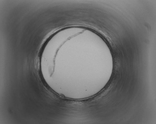 X0000116341509200912291602