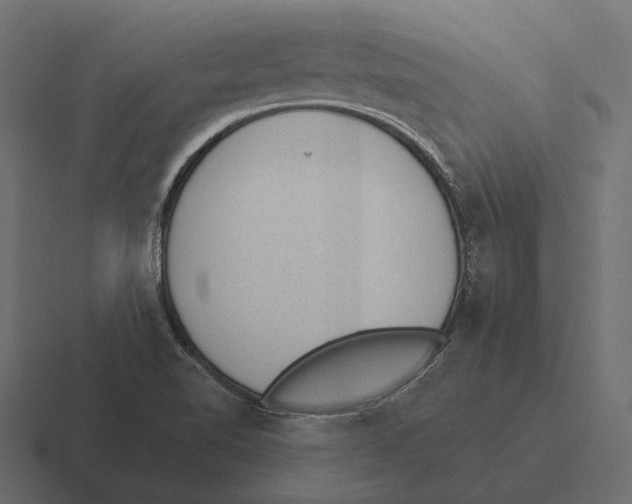 X0000116341510200912291602