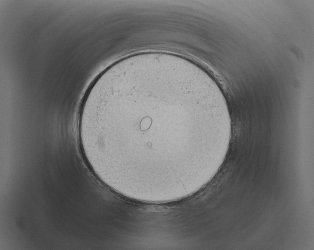 X0000116341514200912291602