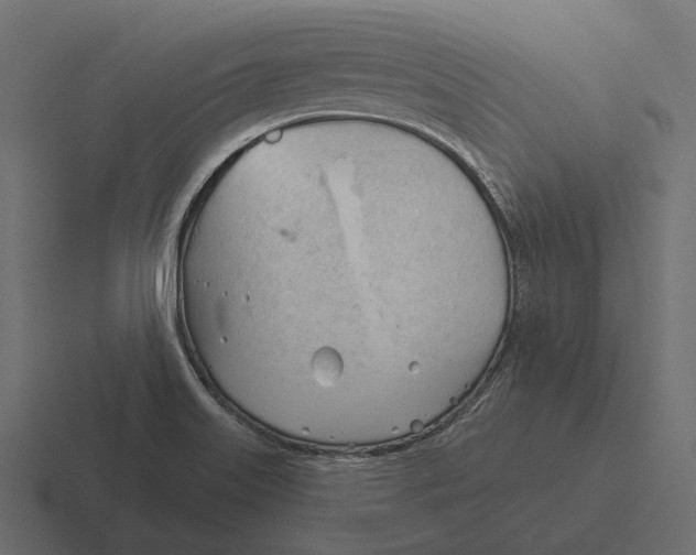 X0000116341515200912291602