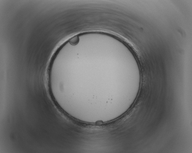 X0000116341517200912291602