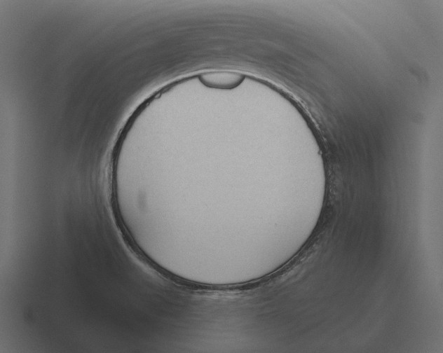 X0000116341519200912291602