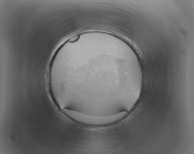 X0000116341522200912291602