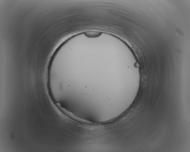 X0000116341523200912291602