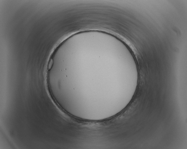 X0000116341525200912291602