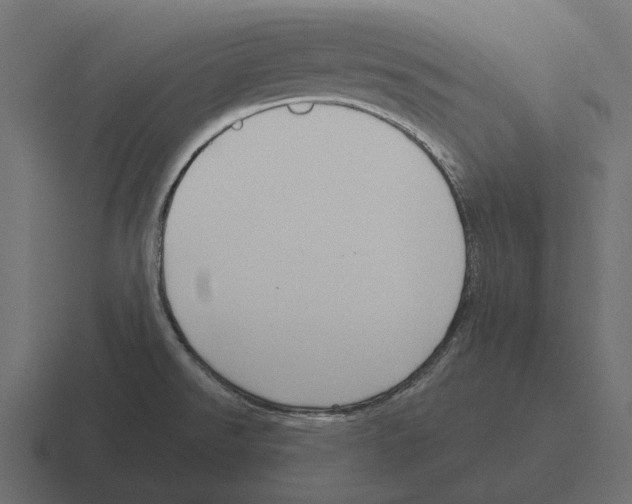 X0000116341526200912291602