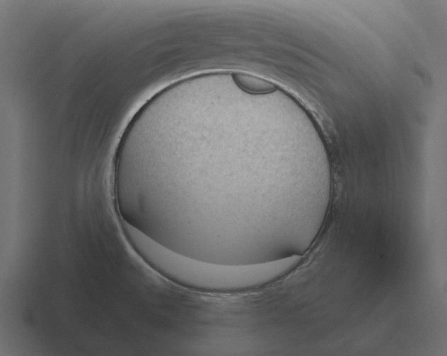 X0000116341527200912291602