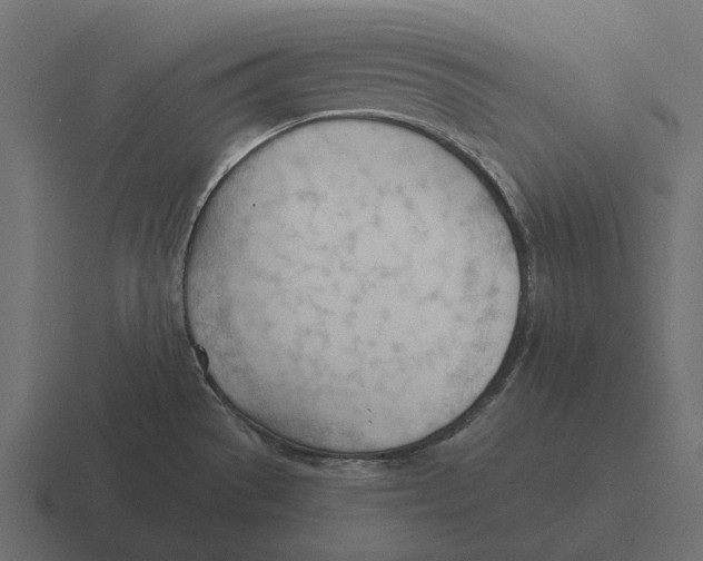 X0000116341529200912291602