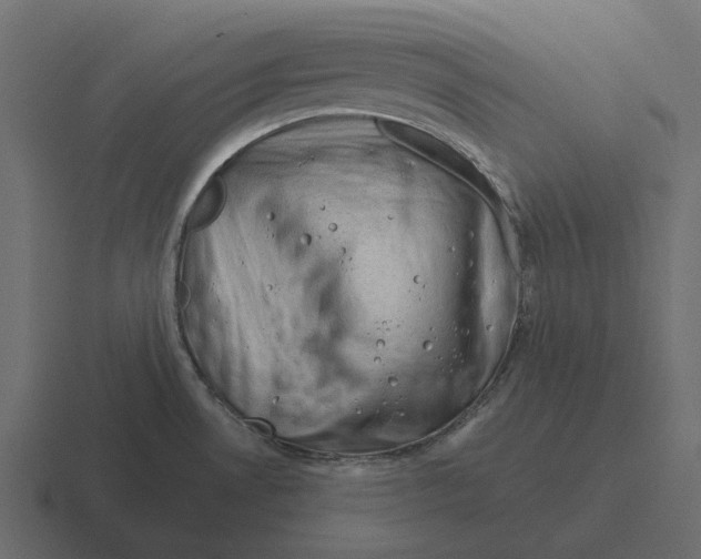 X0000116341530200912291602