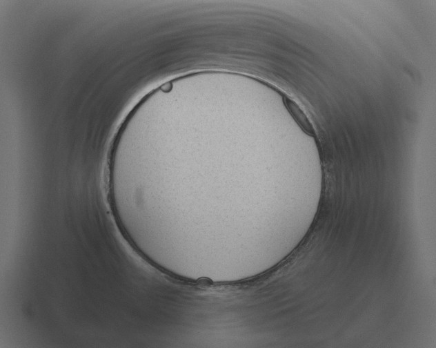 X0000116341531200912291602