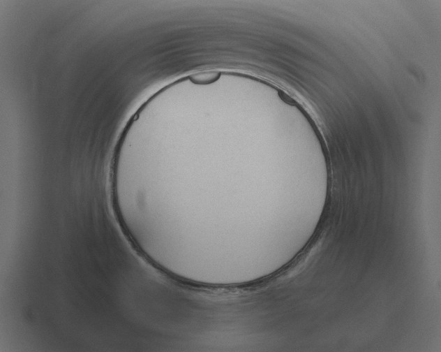 X0000116341533200912291602