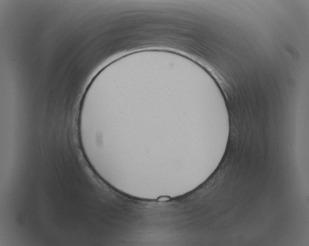 X0000116341534200912291602