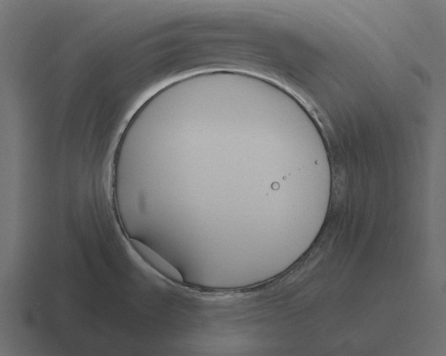 X0000116341535200912291602