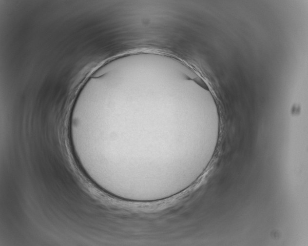 X0000116340001201001131055