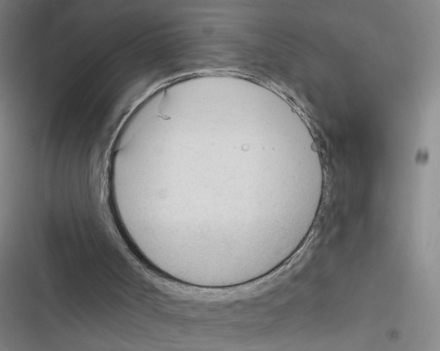 X0000116340002201001131055