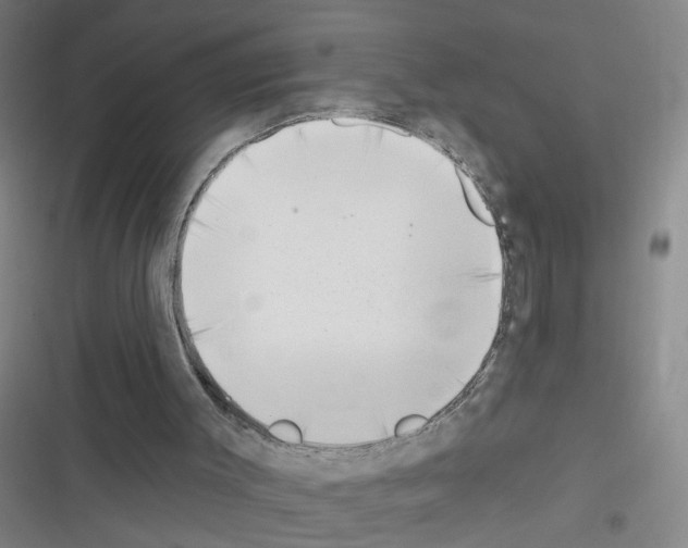 X0000116340003201001131055