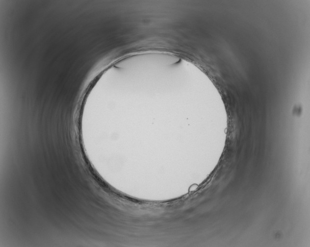 X0000116340004201001131055