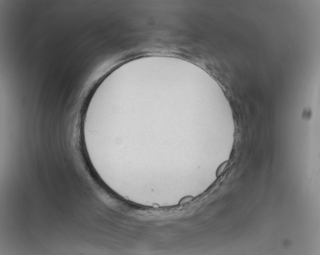 X0000116340005201001131055