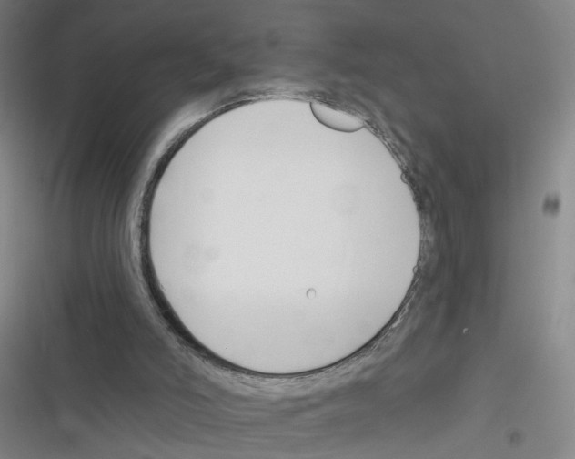 X0000116340006201001131055