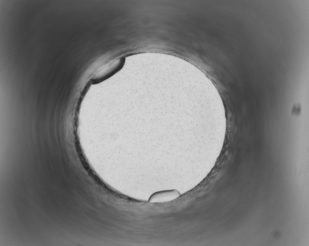 X0000116340007201001131055