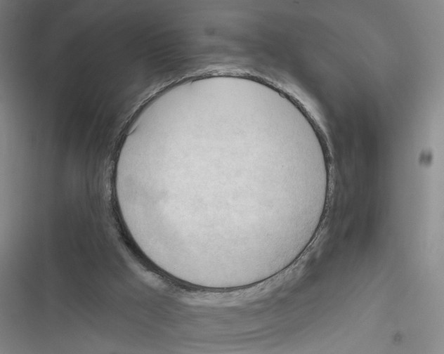 X0000116340009201001131055