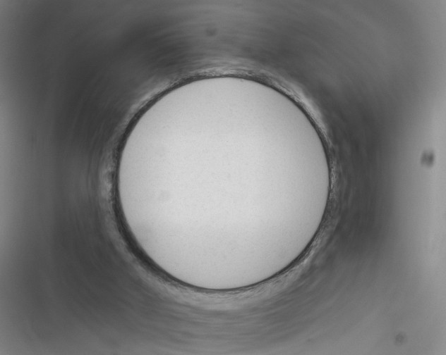 X0000116340010201001131055