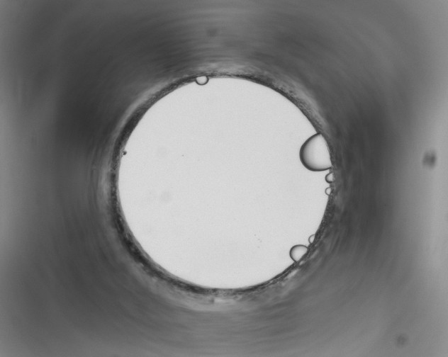 X0000116340012201001131055