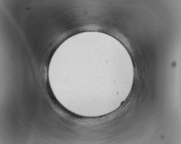 X0000116340013201001131055