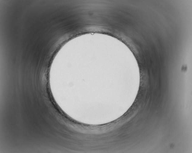 X0000116340015201001131055