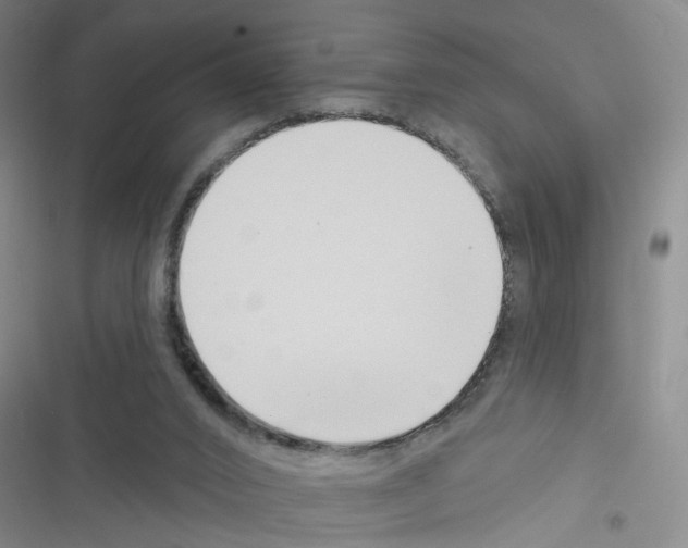 X0000116340016201001131055