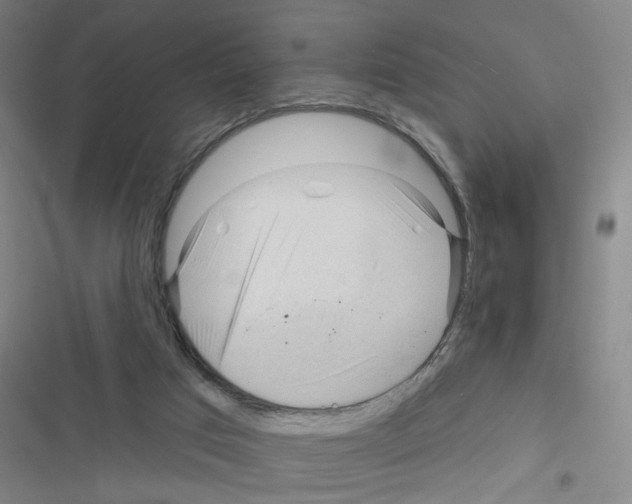 X0000116340017201001131055