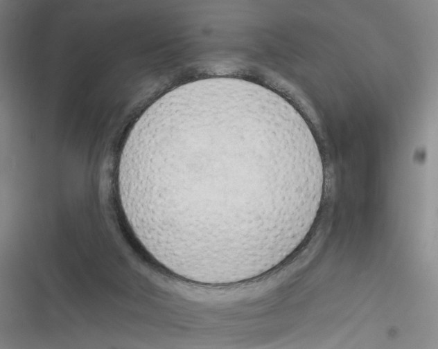 X0000116340018201001131055