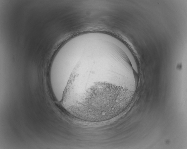 X0000116340019201001131055