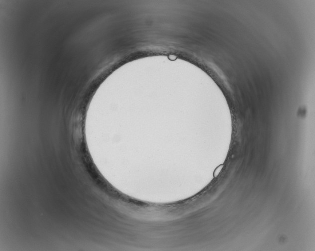 X0000116340020201001131055