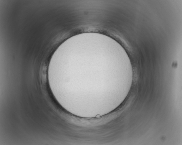 X0000116340022201001131055