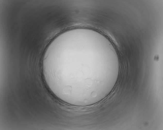 X0000116340023201001131055