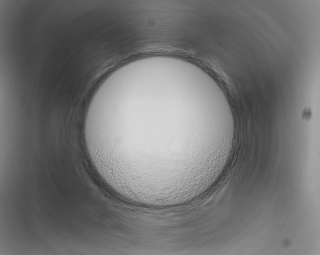 X0000116340024201001131055