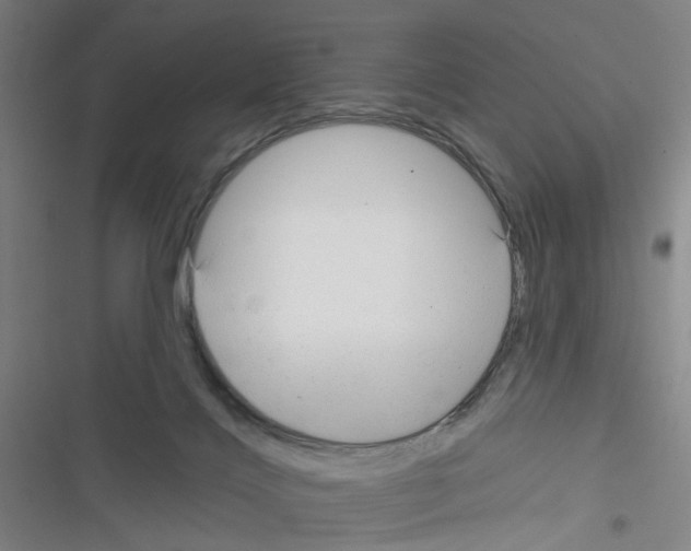 X0000116340028201001131054