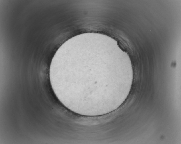 X0000116340029201001131054