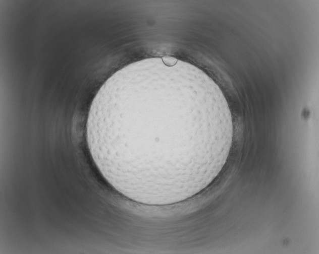 X0000116340030201001131054