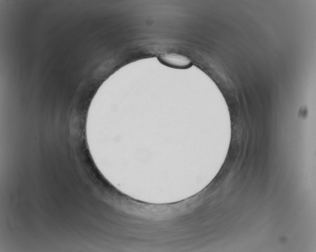 X0000116340031201001131054