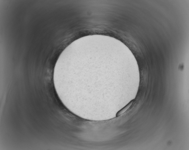 X0000116340033201001131054