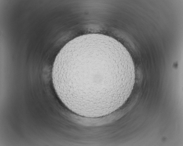 X0000116340034201001131054