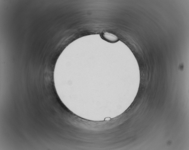 X0000116340035201001131054