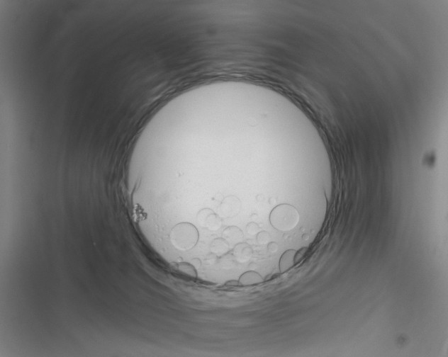 X0000116340036201001131054