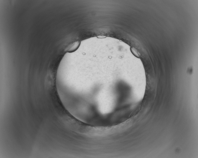 X0000116340037201001131054