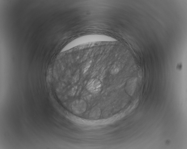 X0000116340038201001131054