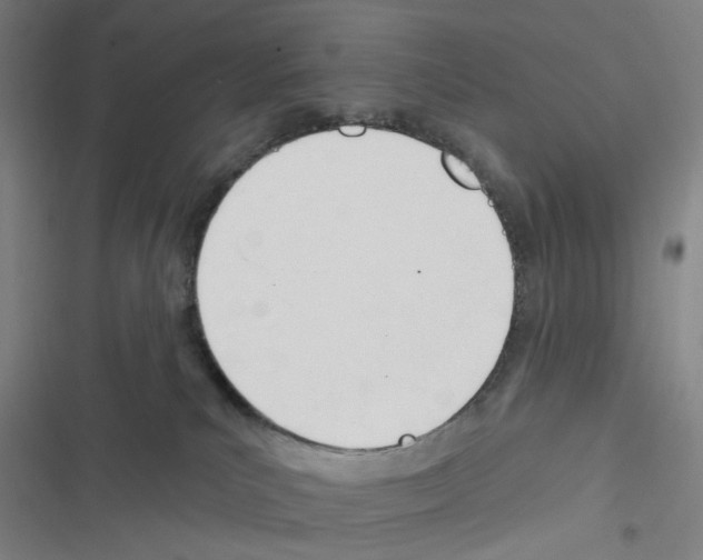 X0000116340039201001131054