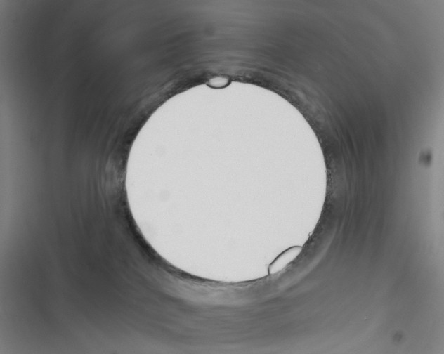 X0000116340040201001131054