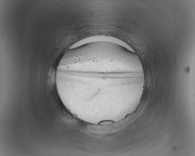 X0000116340041201001131054